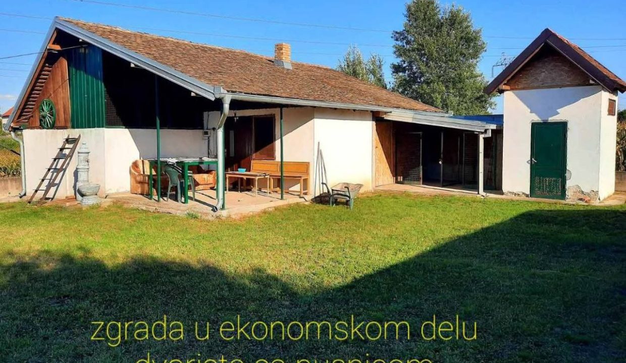 photo_2026-02-08_20-33-44