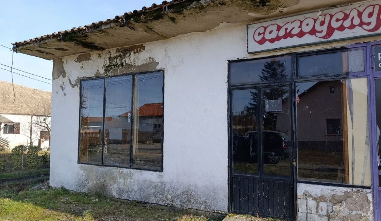 photo_2026-02-10_11-10-28