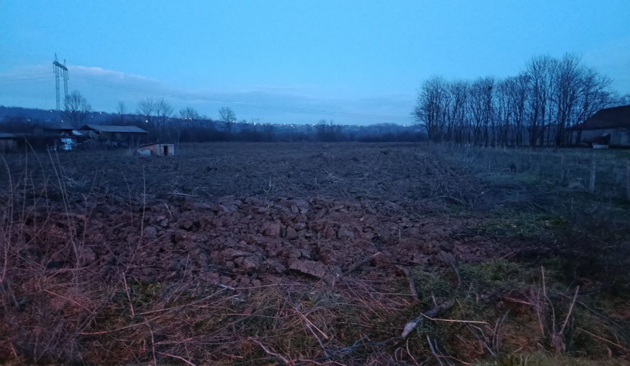 photo_2026-02-11_08-46-02