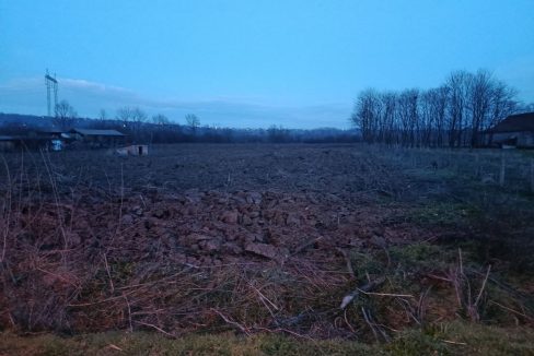 photo_2026-02-11_08-46-02