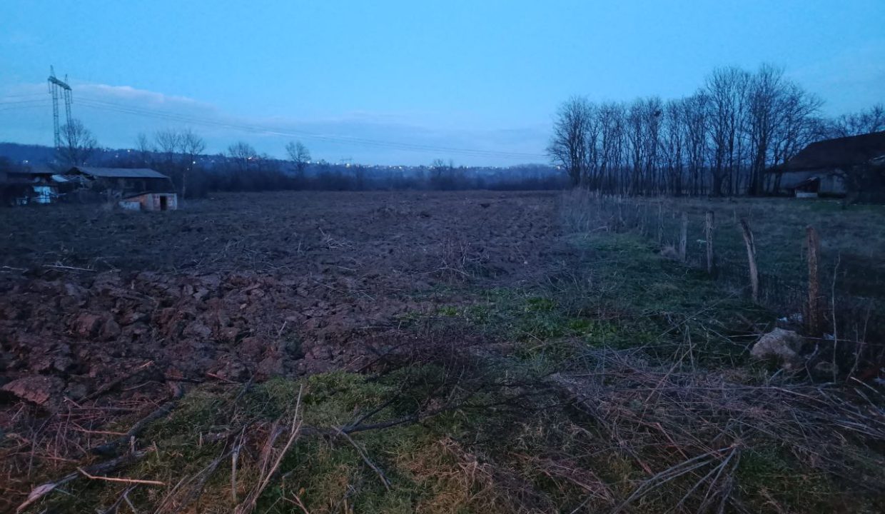 photo_2026-02-11_08-46-08