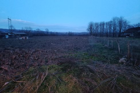 photo_2026-02-11_08-46-08