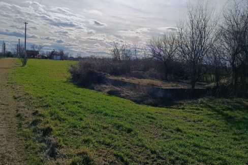 photo_2026-02-13_09-17-47