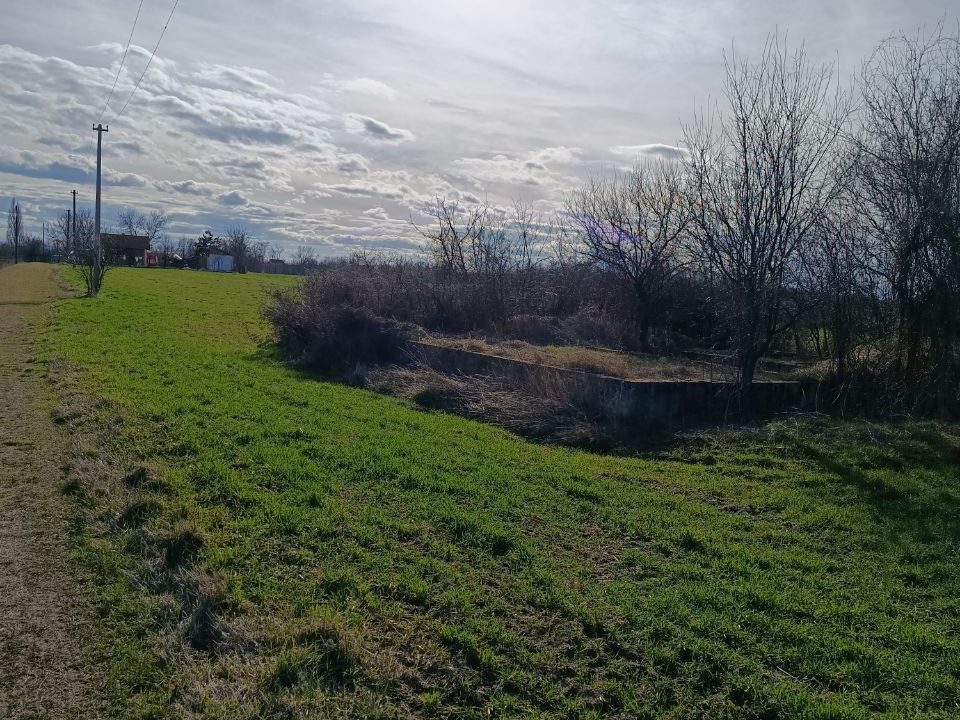 photo_2026-02-13_09-17-47