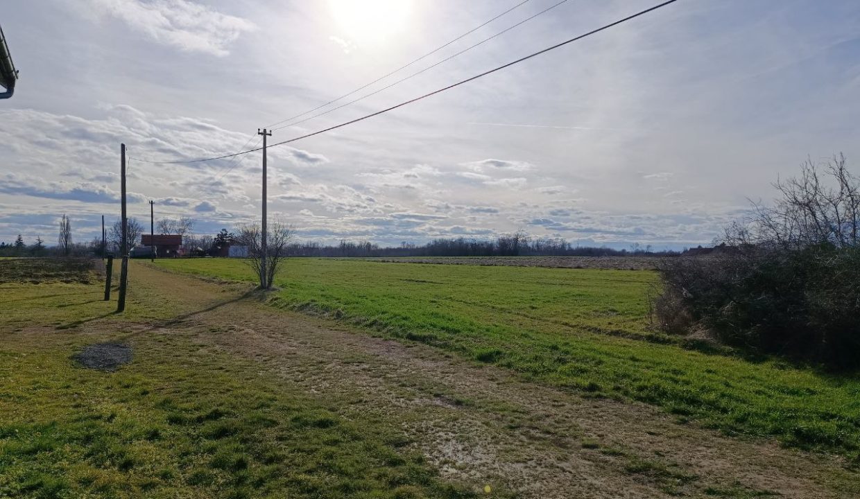 photo_2026-02-13_09-17-50