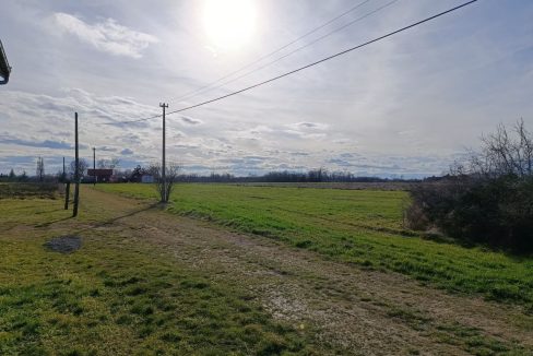 photo_2026-02-13_09-17-50