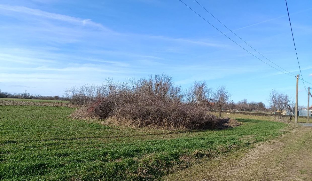 photo_2026-02-13_09-17-52