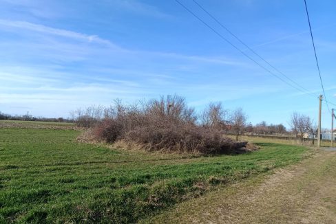 photo_2026-02-13_09-17-52