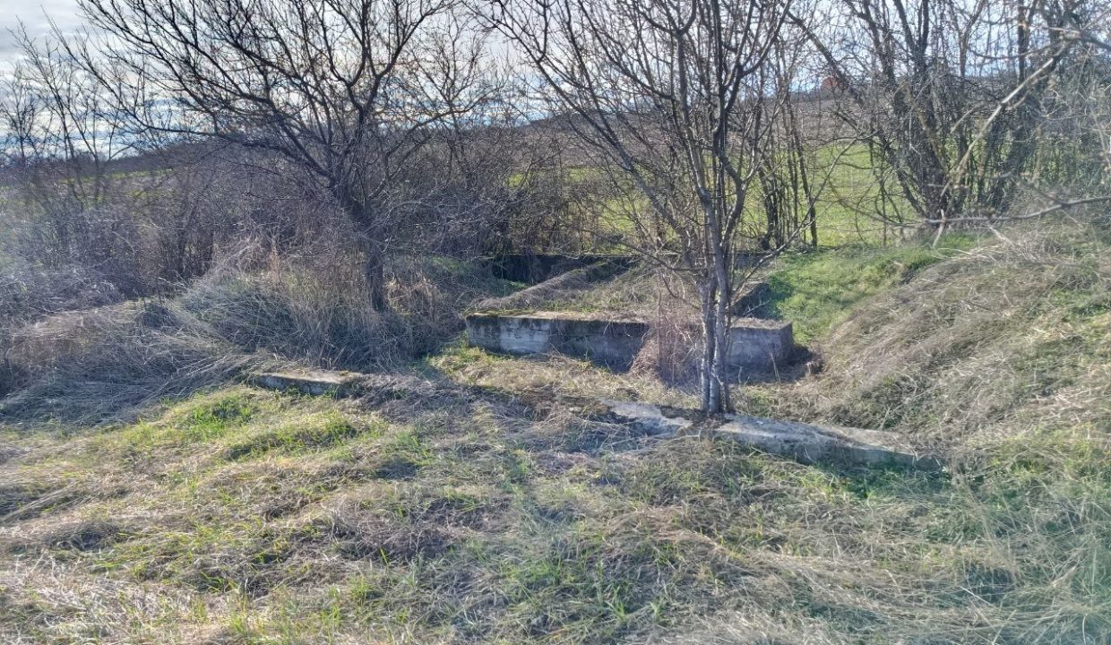 photo_2026-02-13_09-17-56