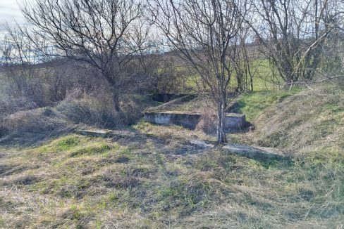 photo_2026-02-13_09-17-56