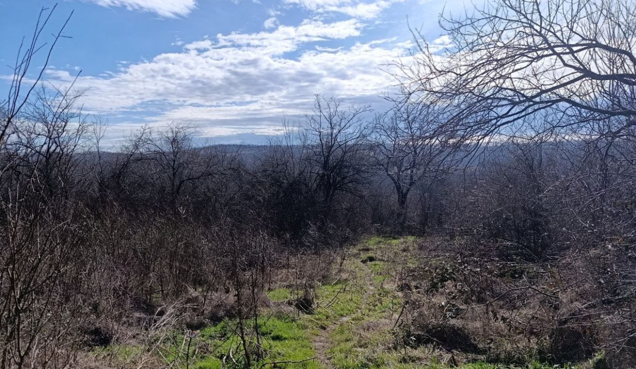 photo_2026-02-13_10-11-45