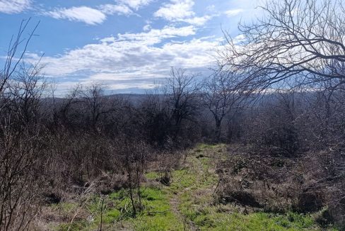 photo_2026-02-13_10-11-45