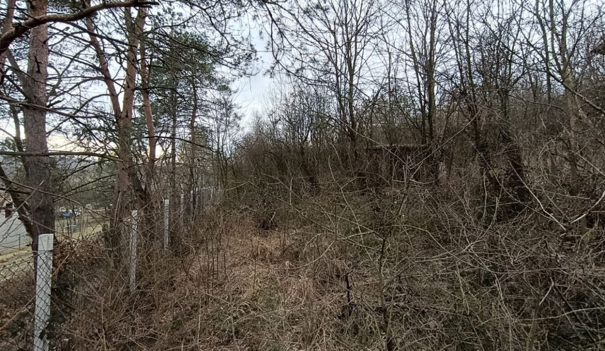 photo_2026-02-13_14-10-37