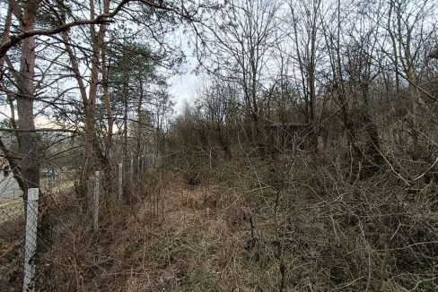 photo_2026-02-13_14-10-37