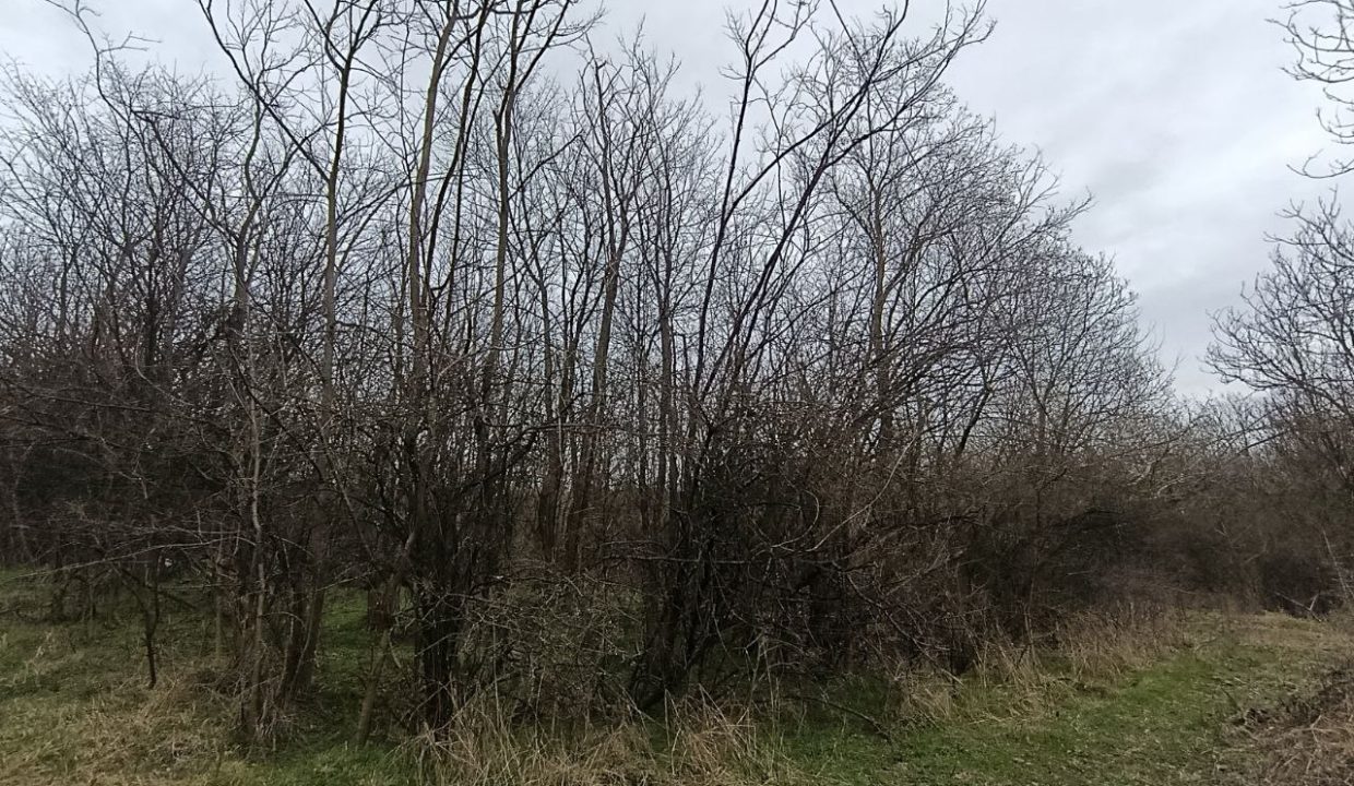 photo_2026-02-13_14-10-46