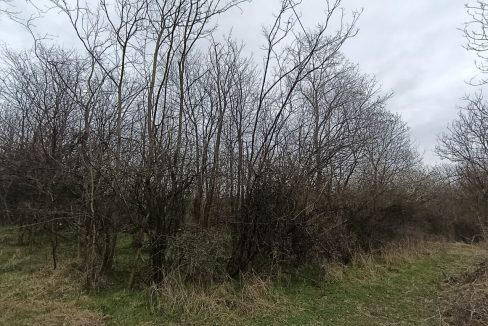 photo_2026-02-13_14-10-46