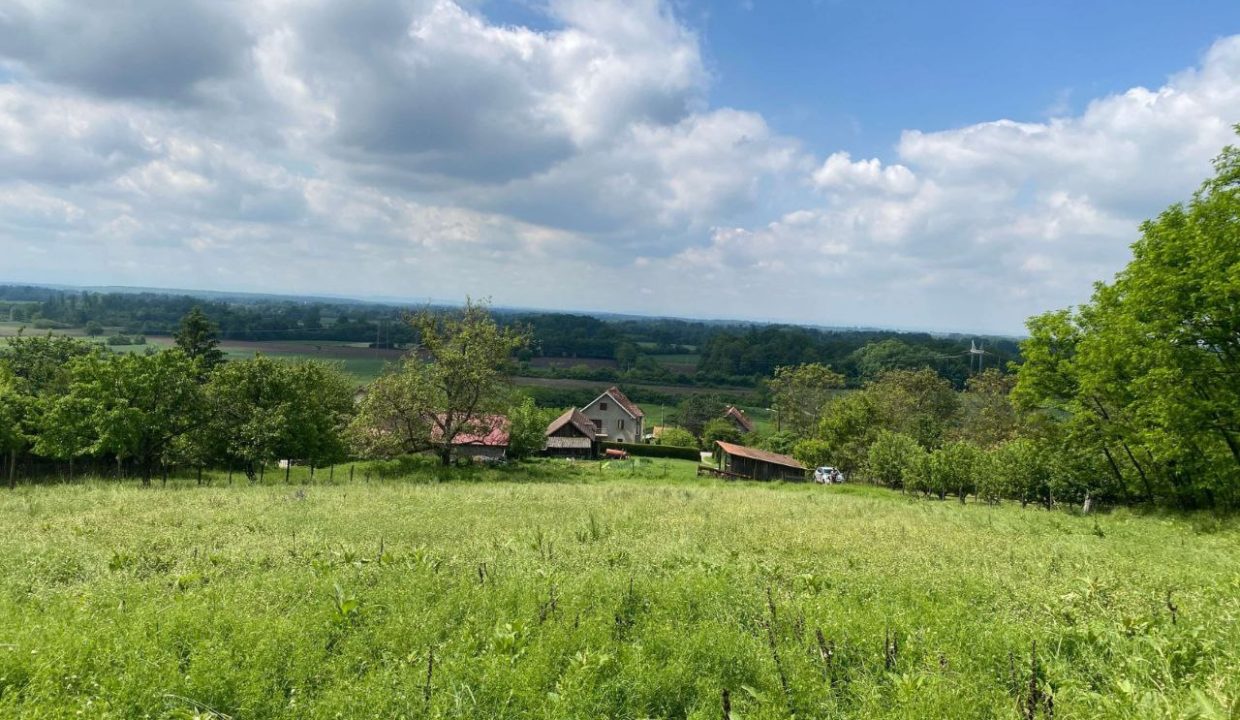 photo_2026-02-16_09-53-58