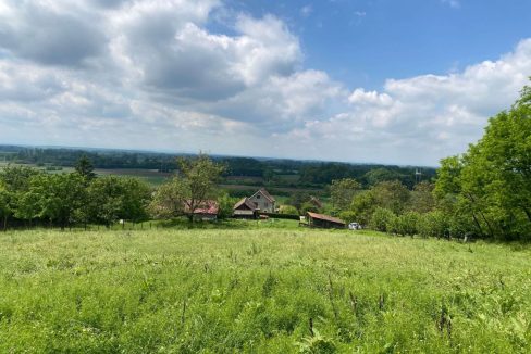 photo_2026-02-16_09-53-58