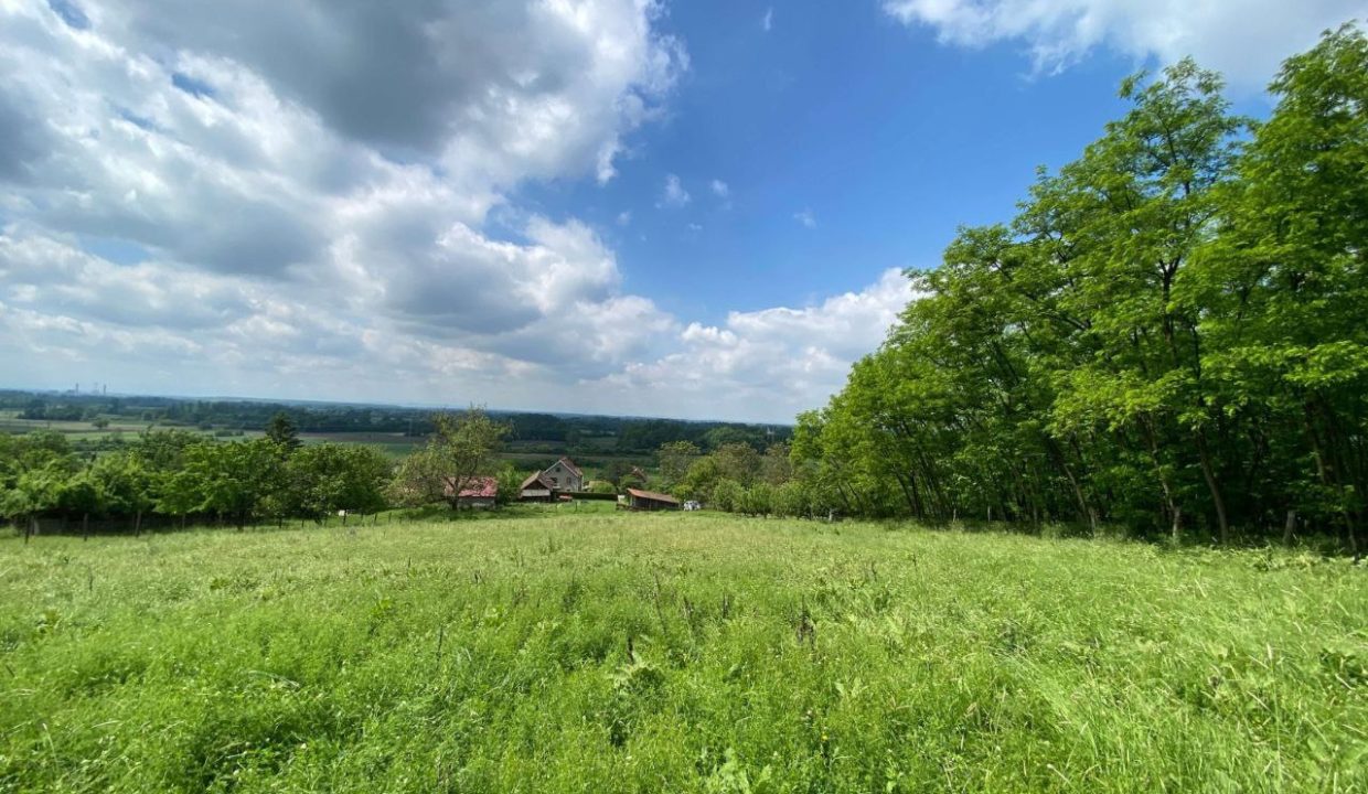 photo_2026-02-16_09-54-04