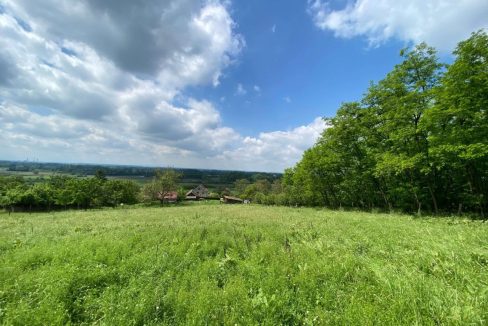 photo_2026-02-16_09-54-04