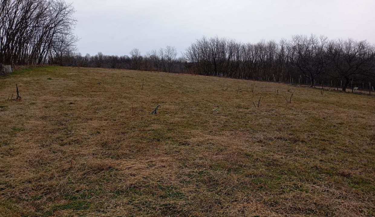 photo_2026-02-16_09-58-37