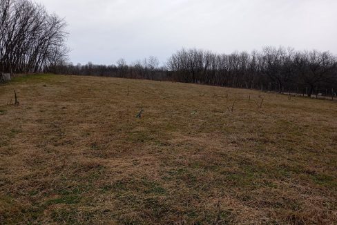 photo_2026-02-16_09-58-37