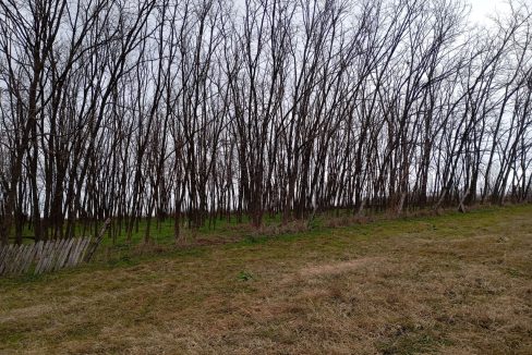 photo_2026-02-16_09-58-39