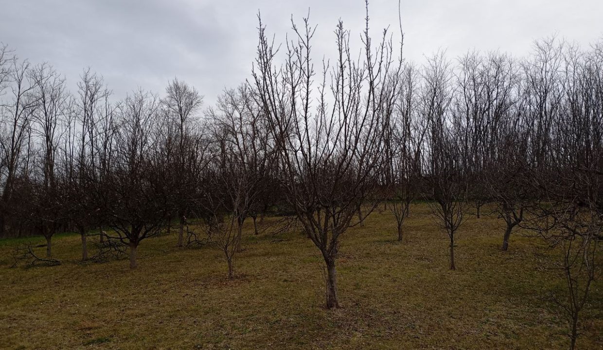 photo_2026-02-16_09-58-41