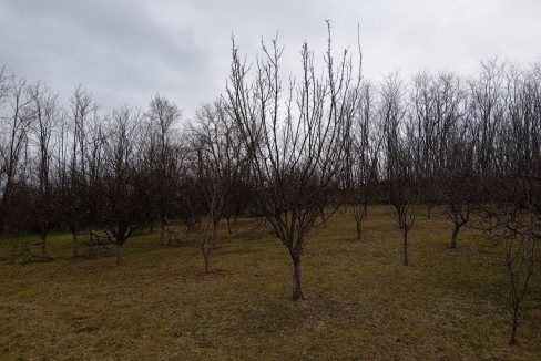 photo_2026-02-16_09-58-41