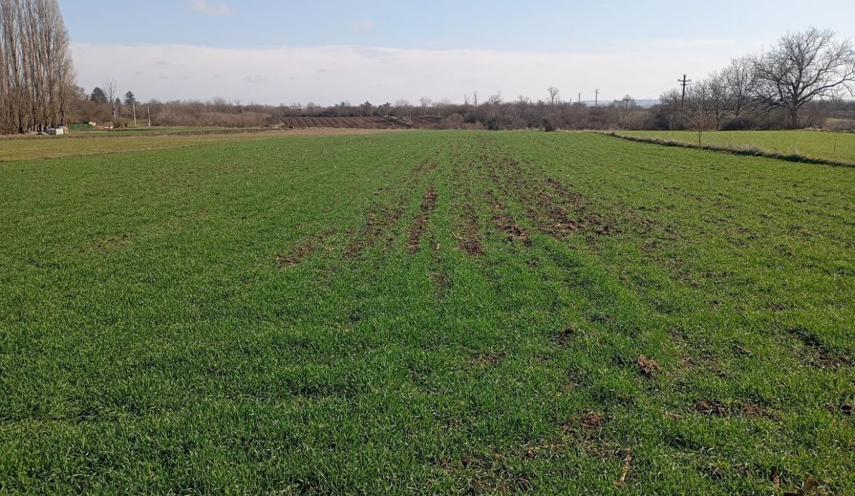 photo_2026-02-18_14-32-58