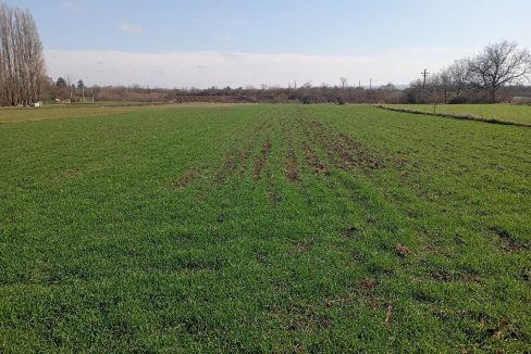 photo_2026-02-18_14-32-58