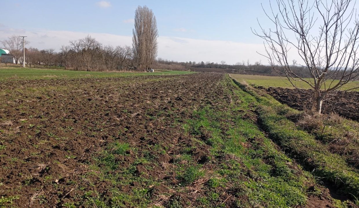 photo_2026-02-18_14-33-00