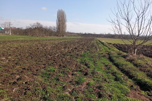 photo_2026-02-18_14-33-00