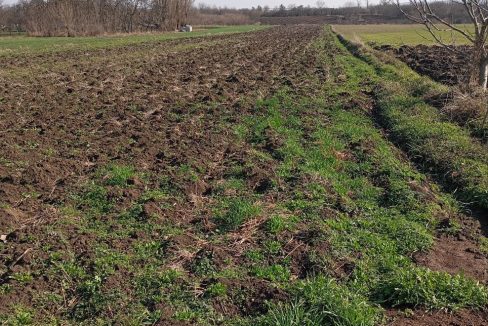 photo_2026-02-18_14-33-03