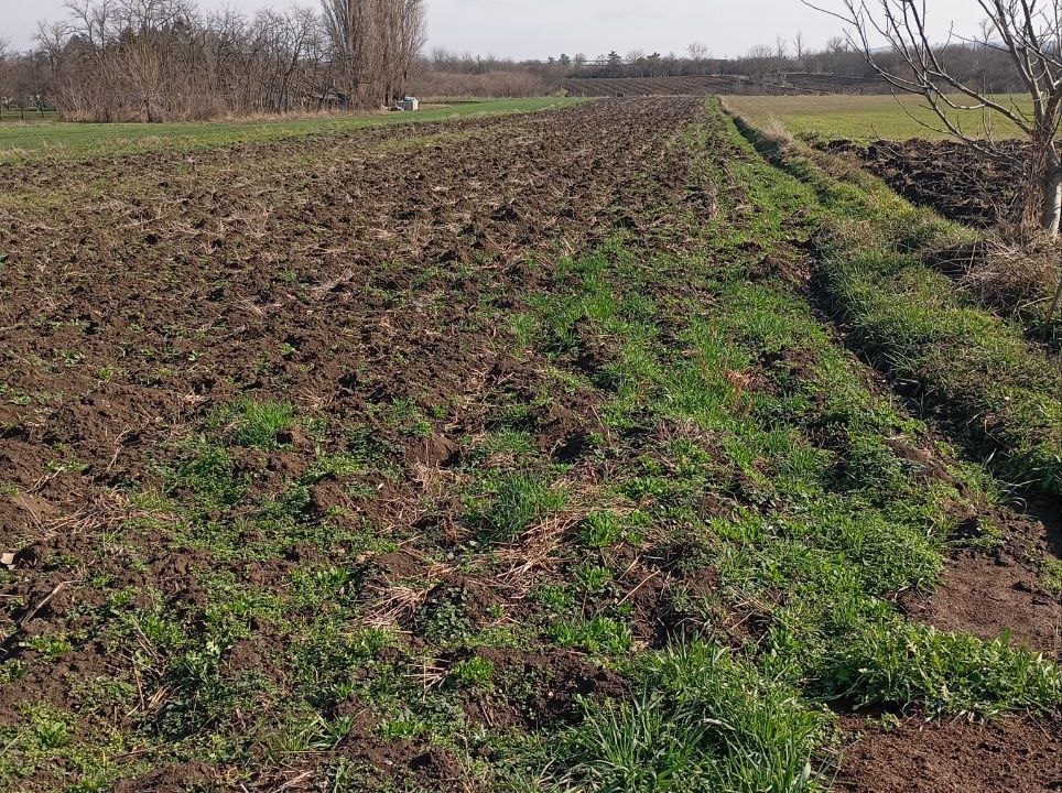 photo_2026-02-18_14-33-03