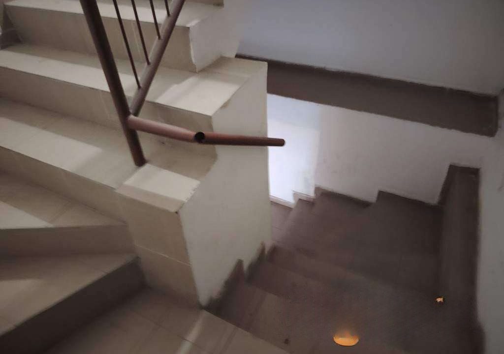 photo_2026-02-20_13-48-55