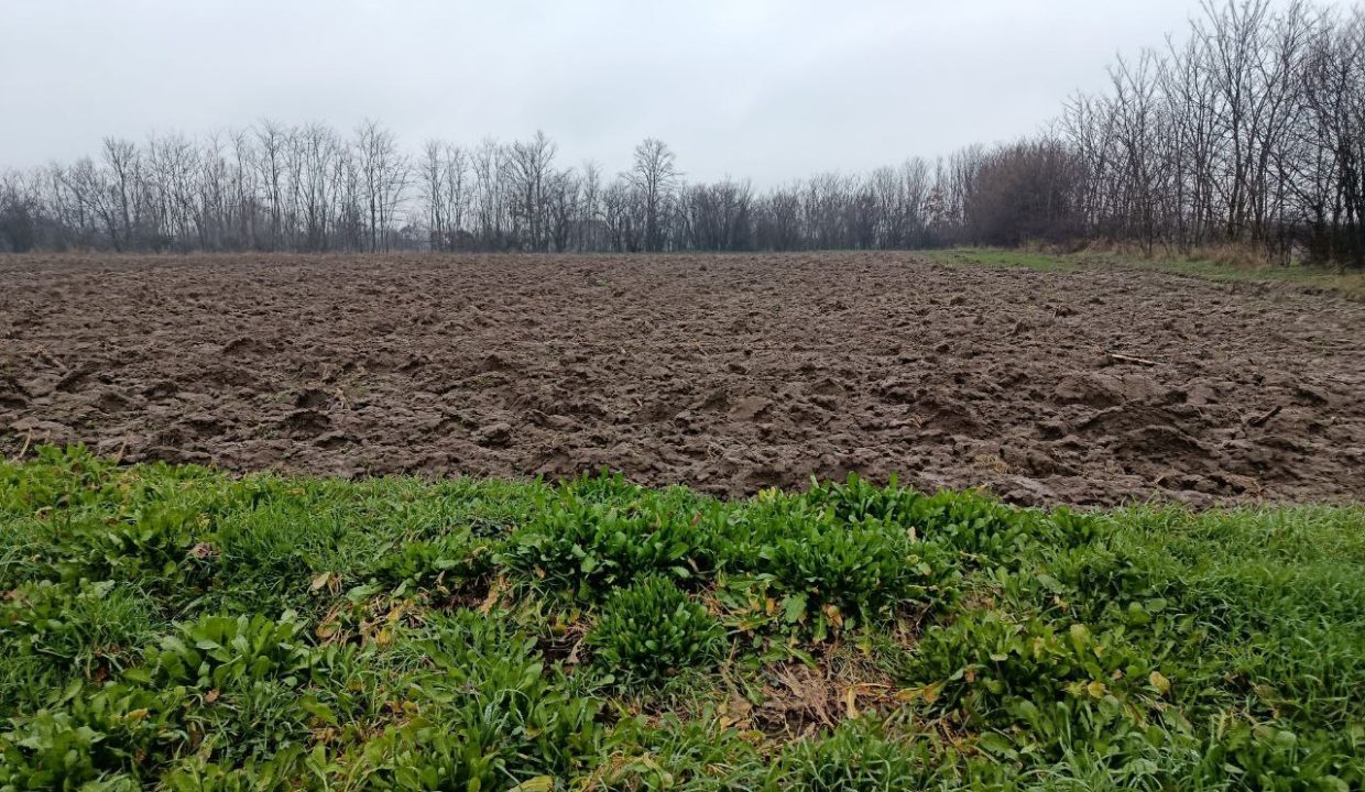 photo_2026-02-23_12-55-37