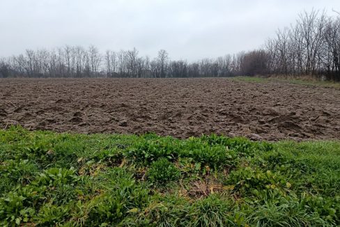 photo_2026-02-23_12-55-37