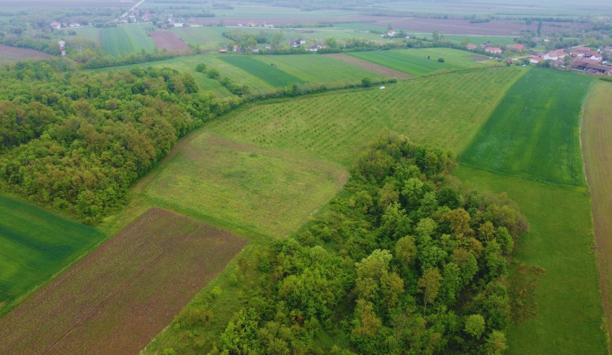 photo_2026-04-22_10-50-12