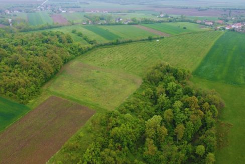 photo_2026-04-22_10-50-12