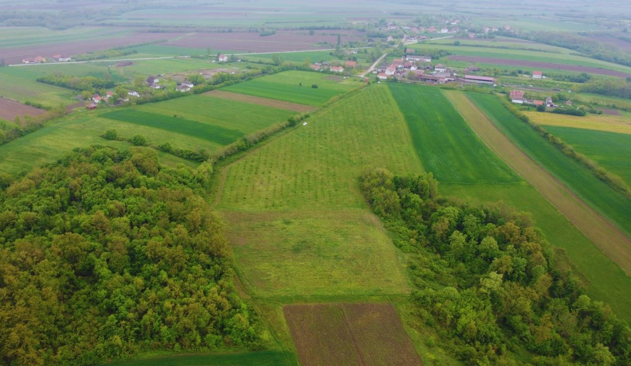 photo_2026-04-22_10-50-13