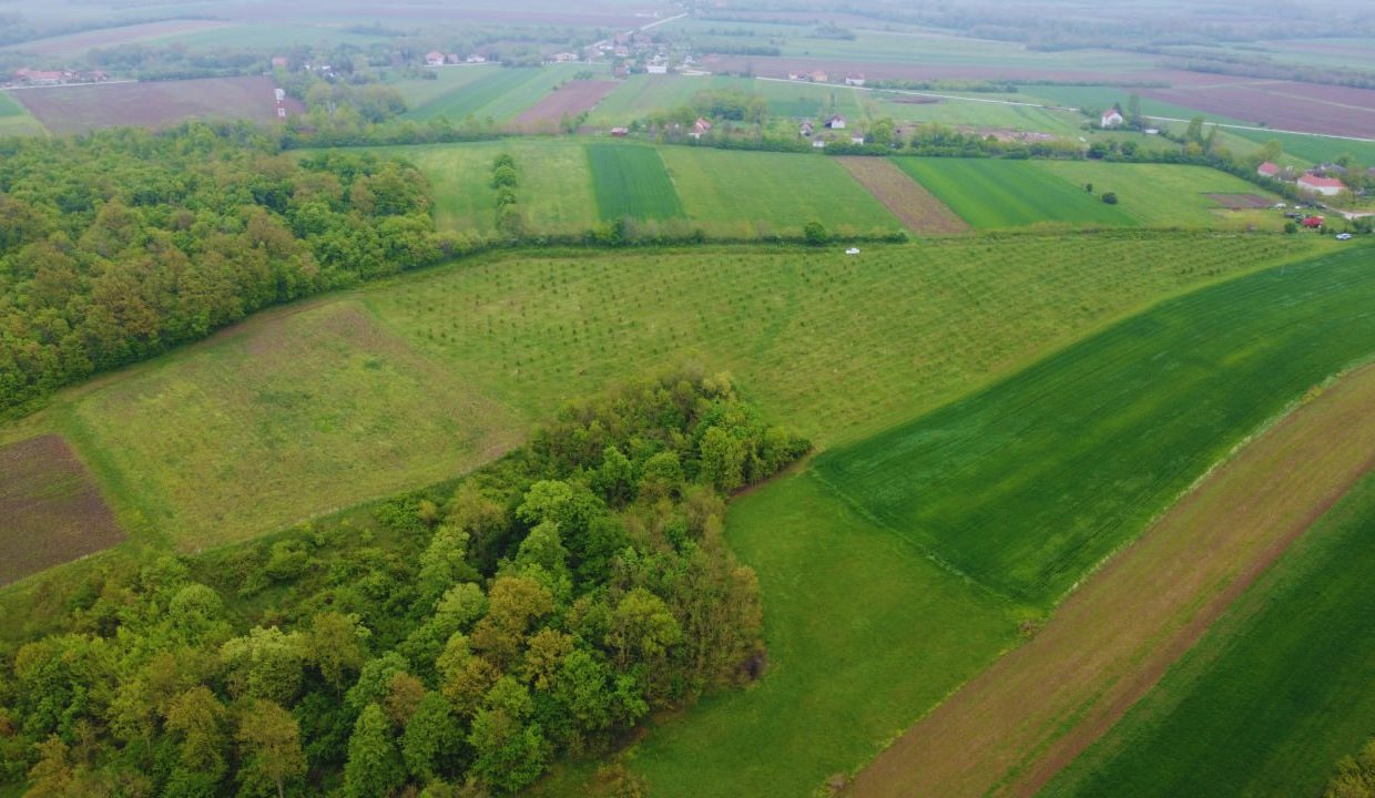 photo_2026-04-22_10-50-13 (2)