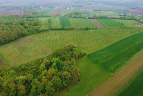 photo_2026-04-22_10-50-13 (2)
