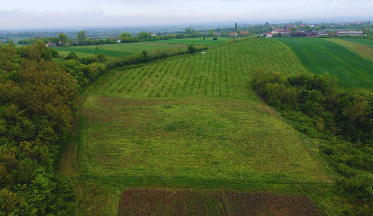 photo_2026-04-22_10-50-13 (3)
