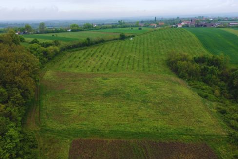 photo_2026-04-22_10-50-13 (3)