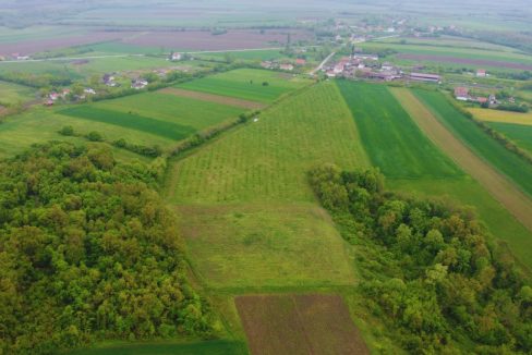 photo_2026-04-22_10-50-13