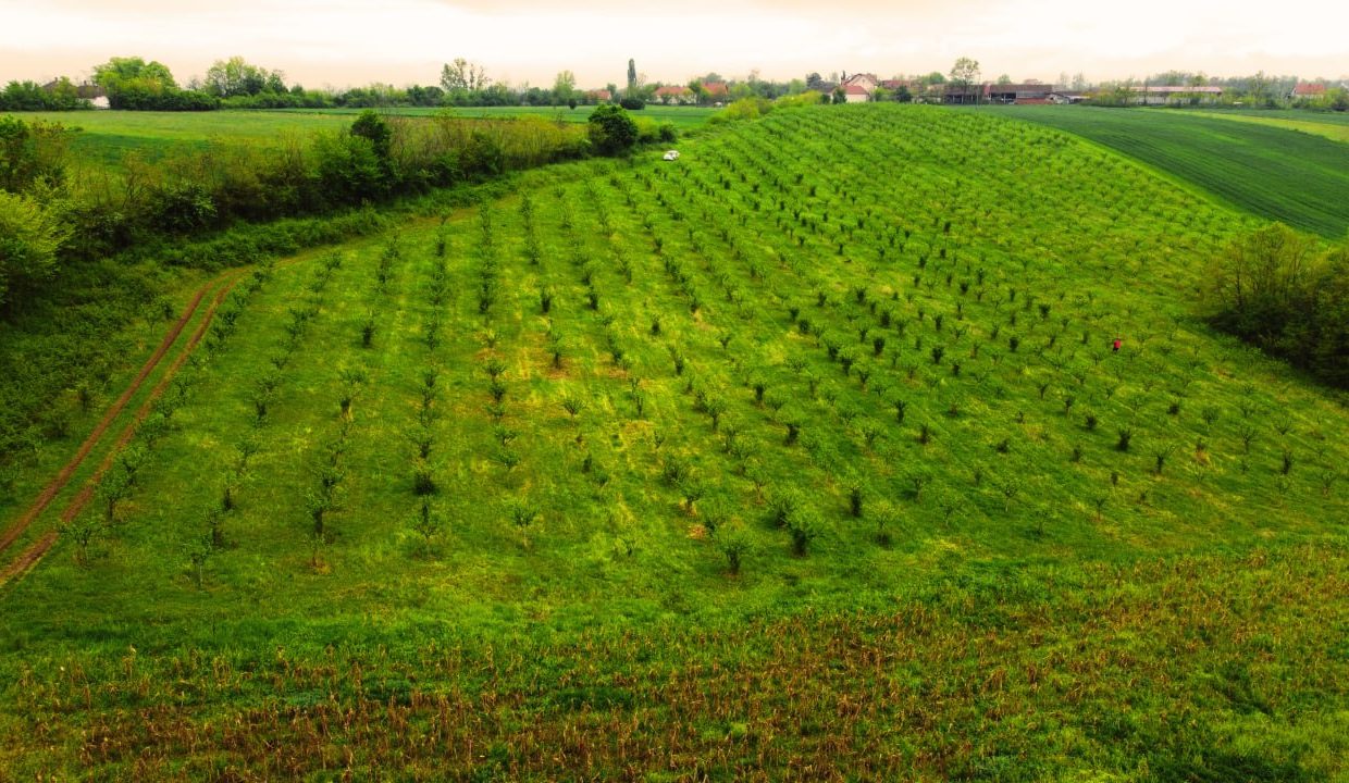 photo_2026-04-22_10-50-14