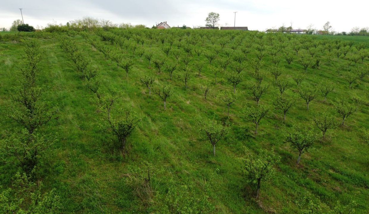 photo_2026-04-22_10-50-14 (2)