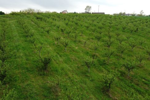 photo_2026-04-22_10-50-14 (2)