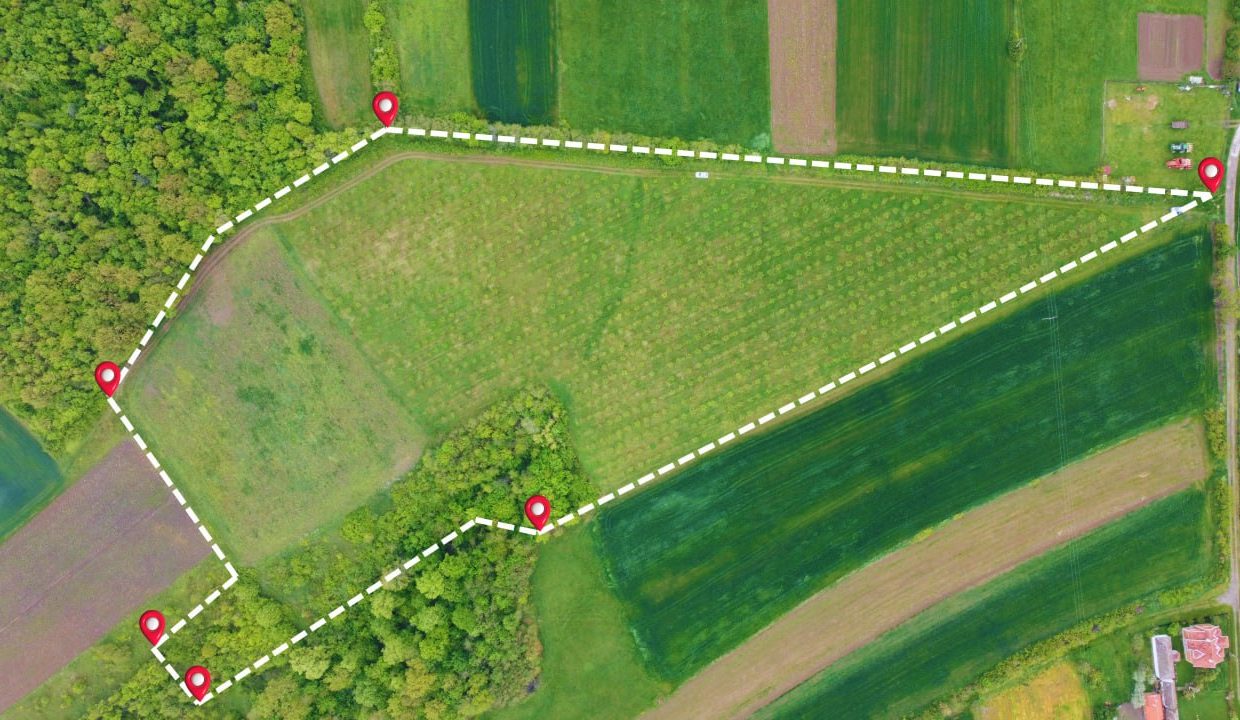 photo_2026-04-22_10-50-14 (3)